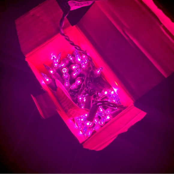 100 Purple Mini Holiday Lights 20’ft 7”in Lighted Length - Picture 6 of 6